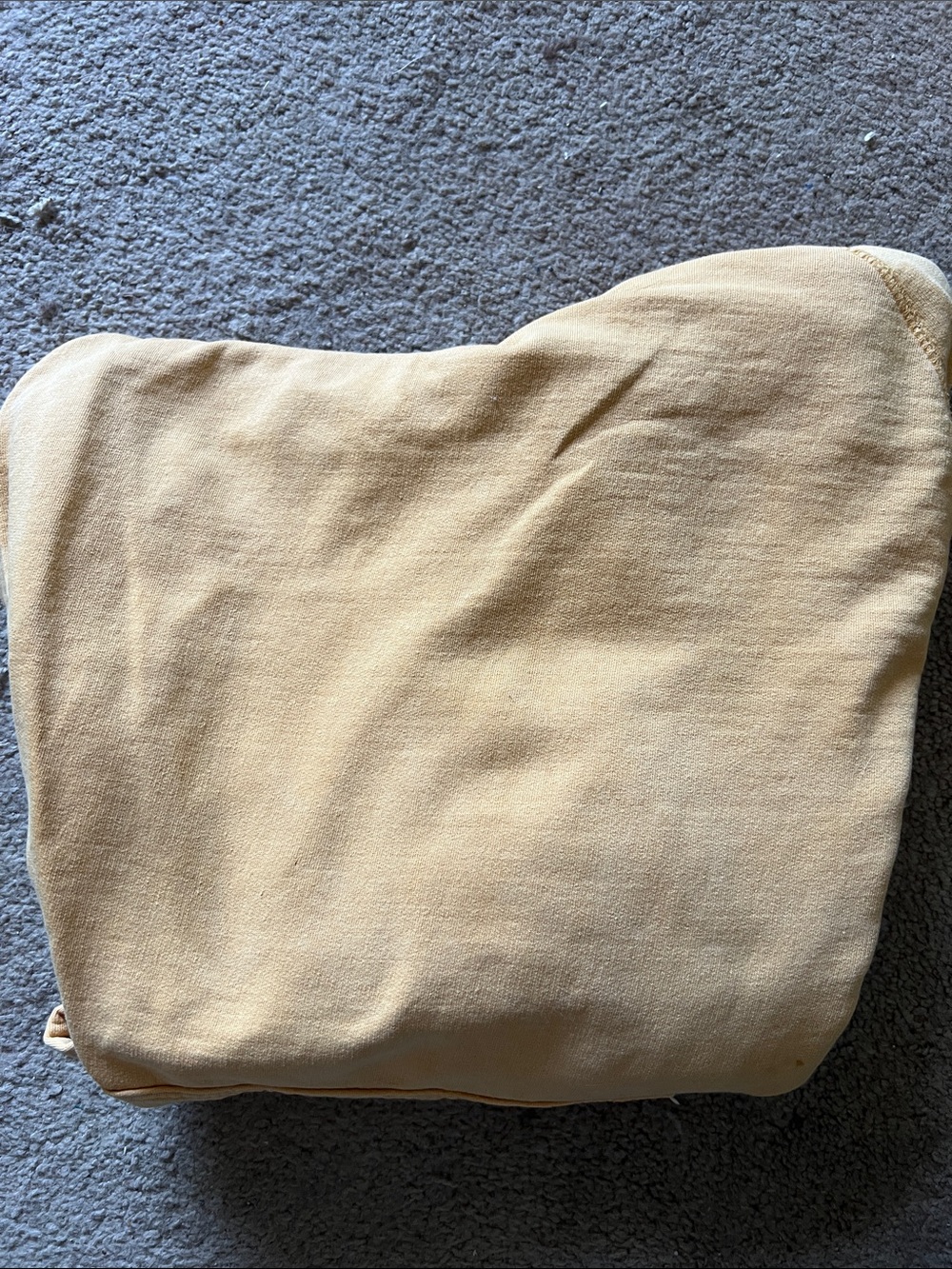 Women's Beige Hoodie Sweatshirt